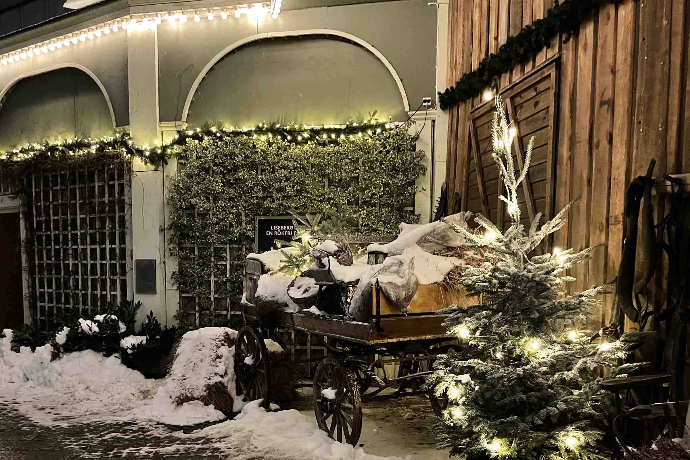 Julguide - vad kan man göra i Göteborg?