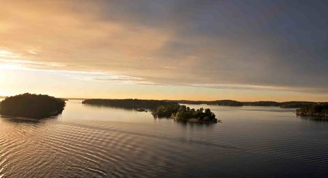 Räkfrossa till havs i Stockholm