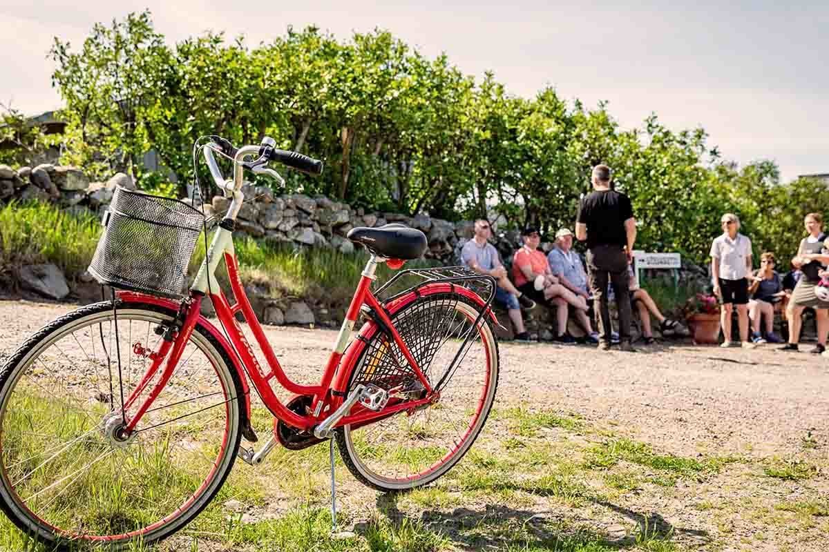 Smakcykling i Romelåsen för två