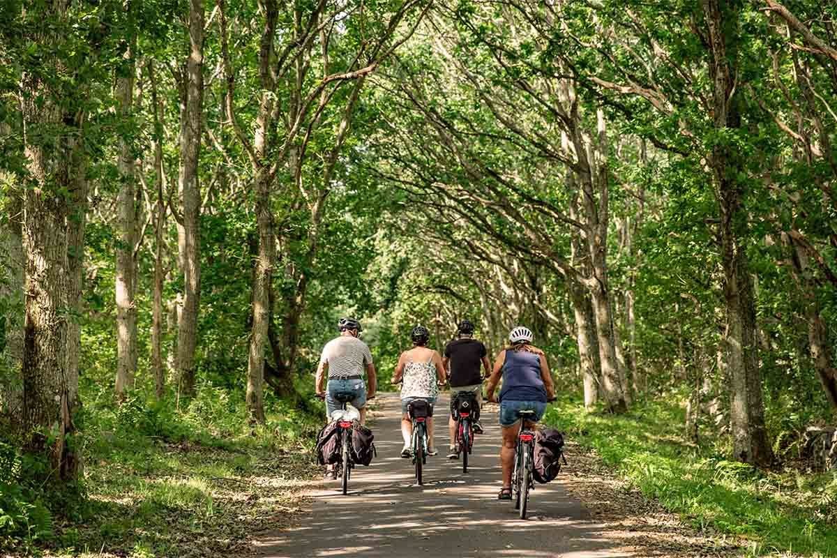 Smakcykling i Falkenberg för två