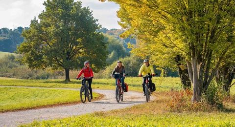 Smakcykling i Romelåsen